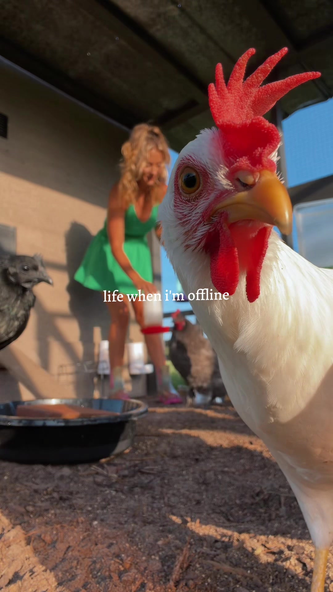 @Brittany🦋🐥
