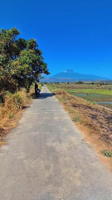 @Fajar_Kurniawan_P