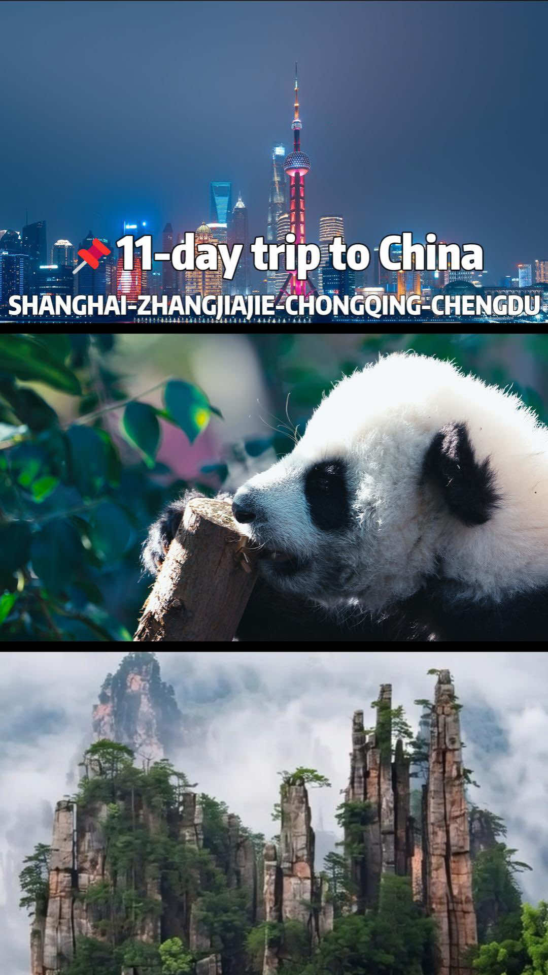 @youyouxing.travel