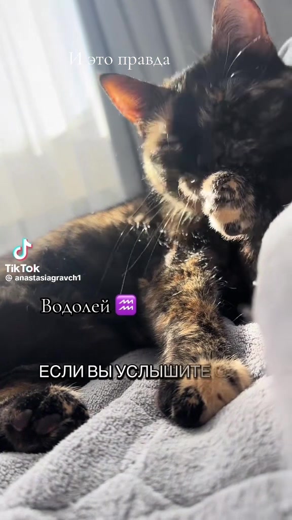 @Таня Петросян