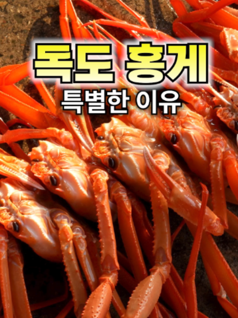 @싱싱헌터스