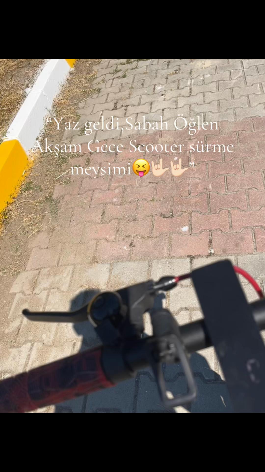 @🐶