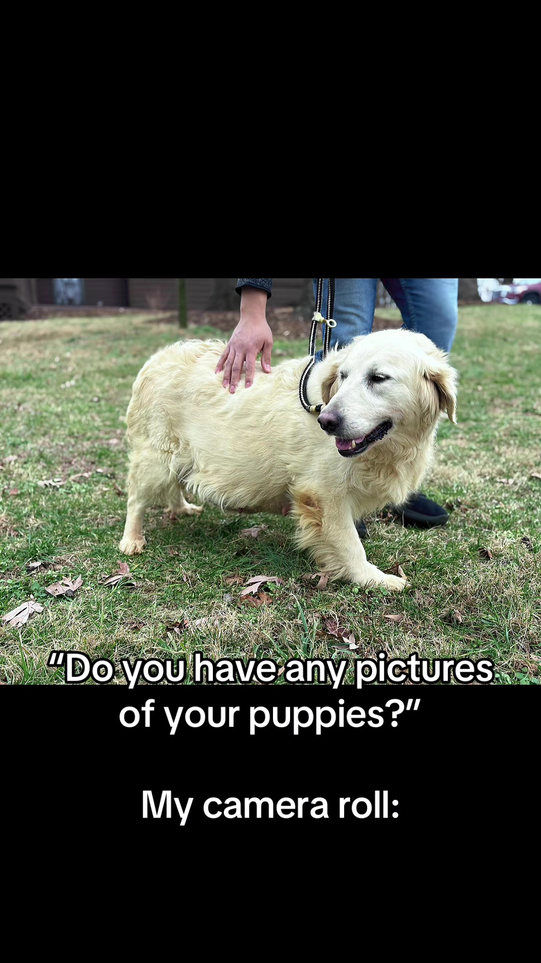 @Furry Tailed Friends NC