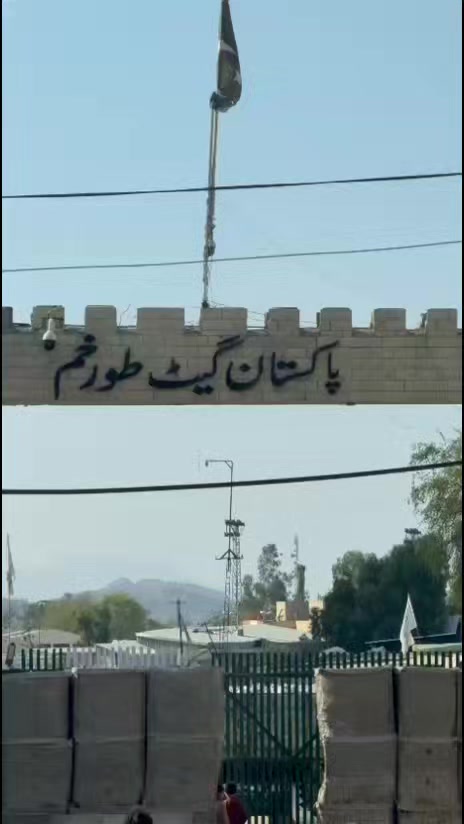 @Malik_zada__102
