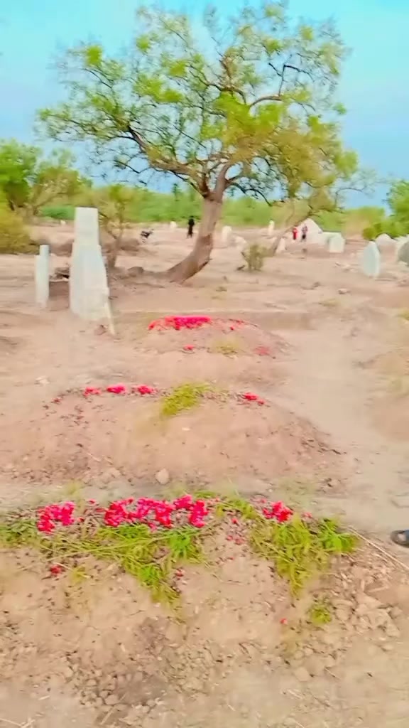 @Mehar Mohsin