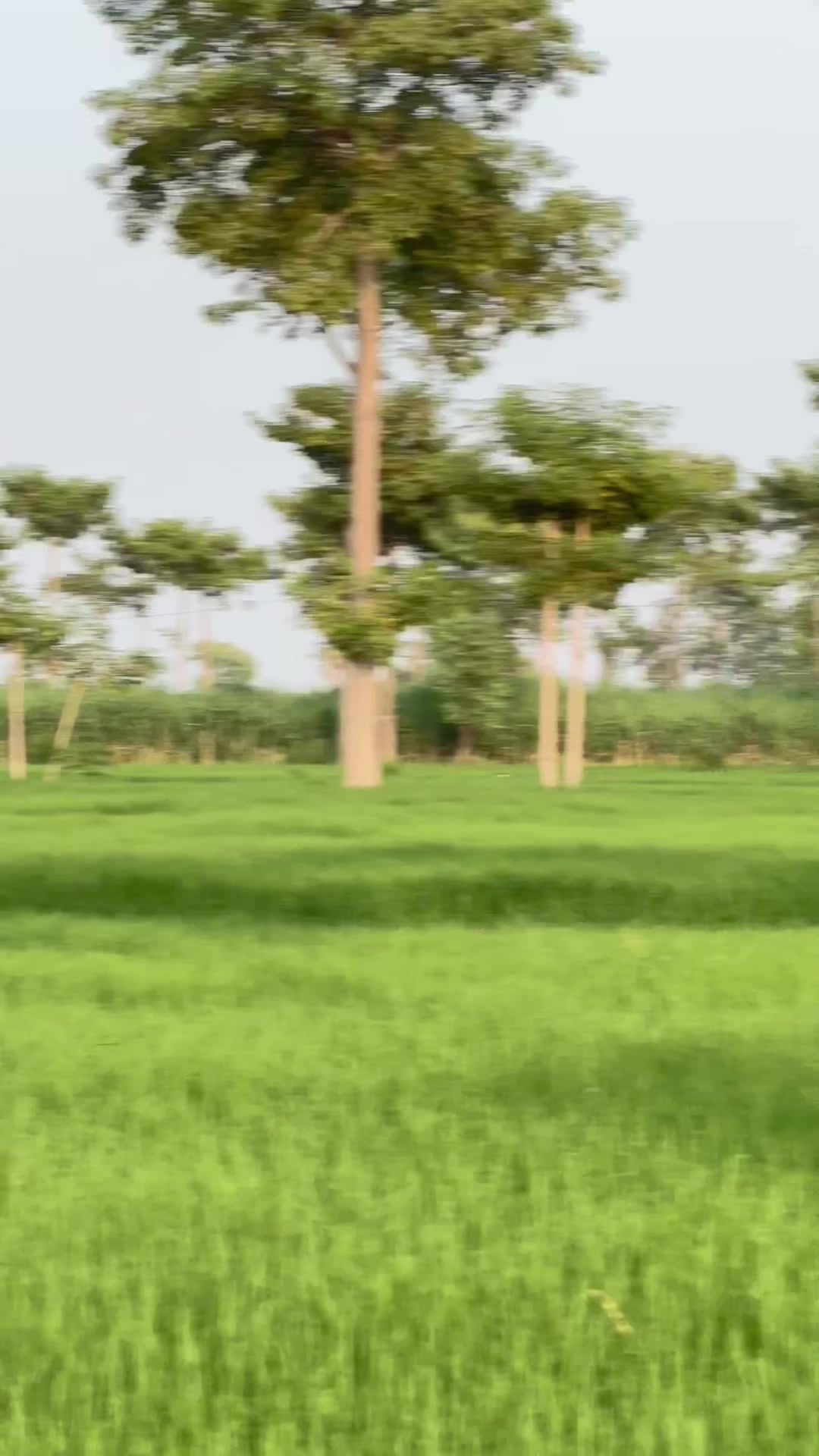 @M.HaSSaN 🇵🇰