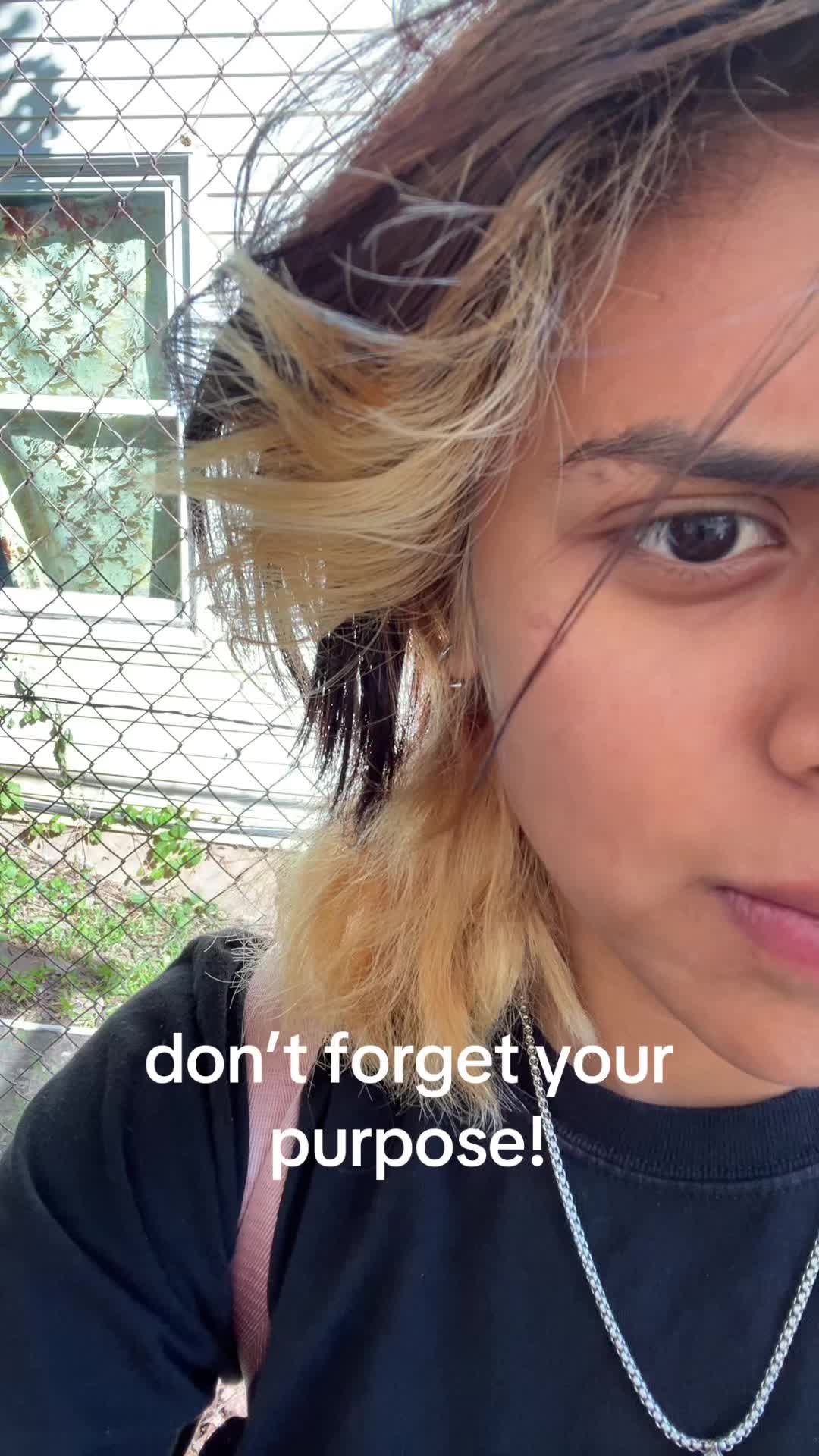 @❄️