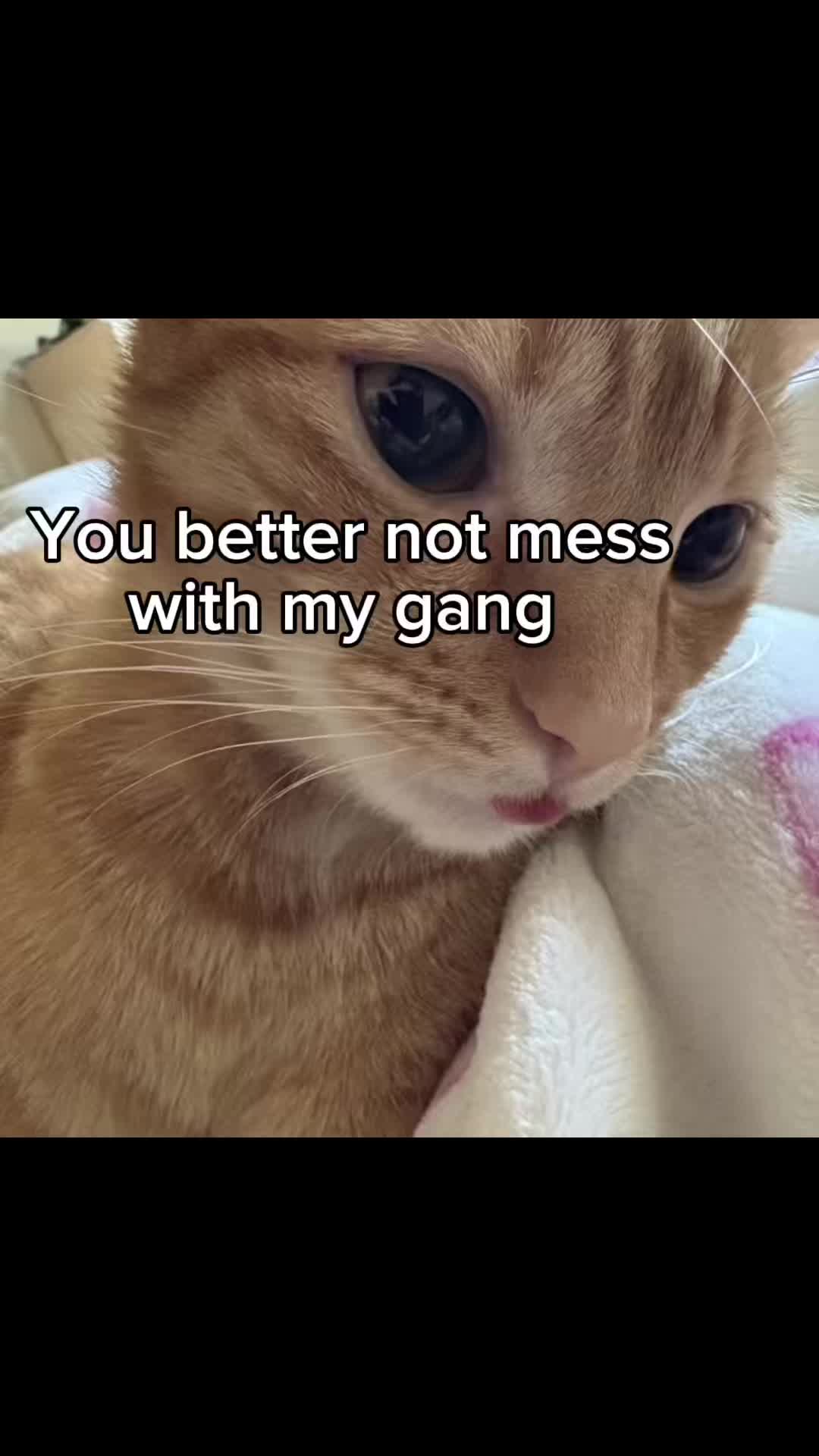 @PhilOcalist