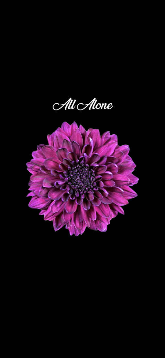 @𝐰𝐚𝐯𝐞