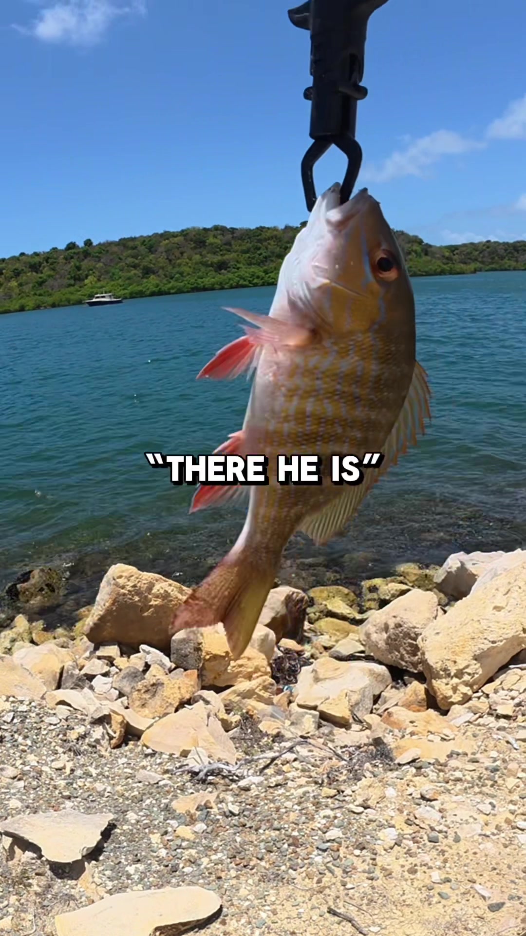 @JlangFishing
