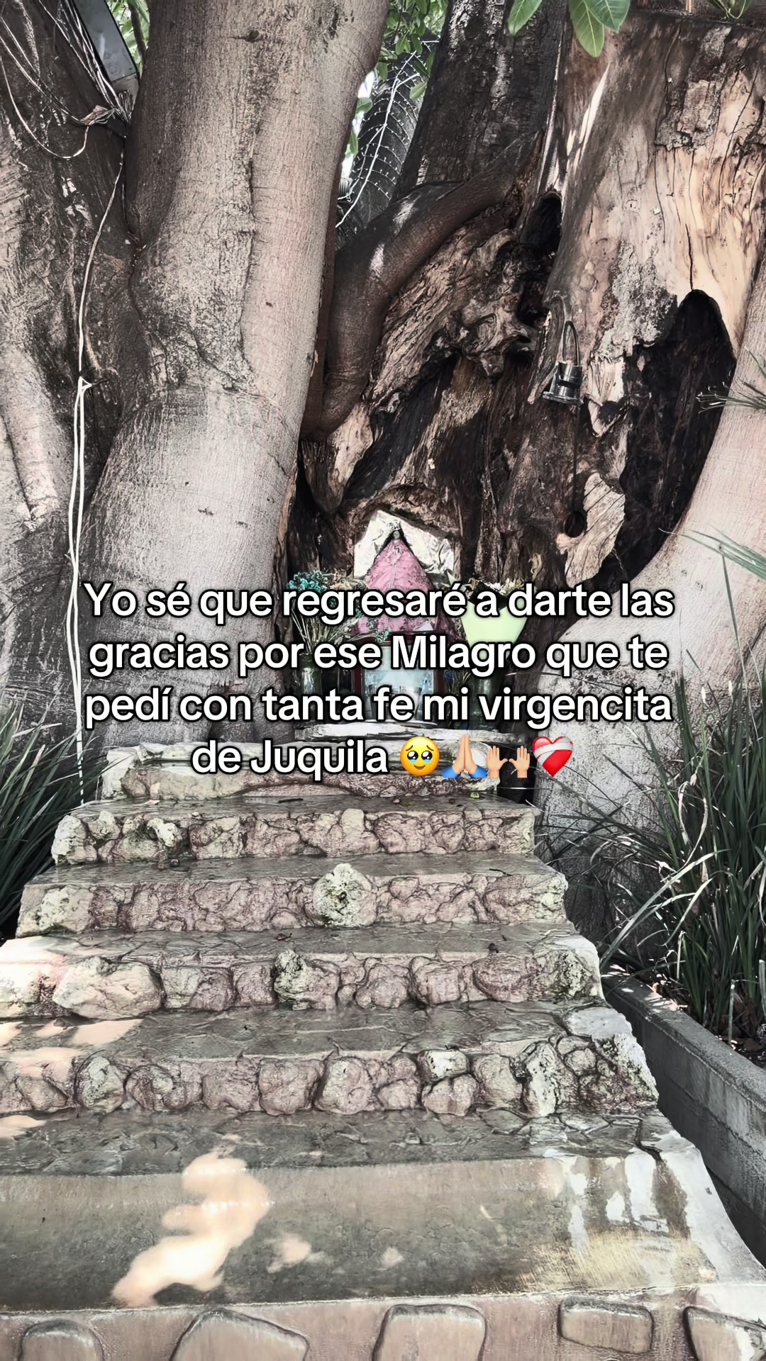 @_danielikald