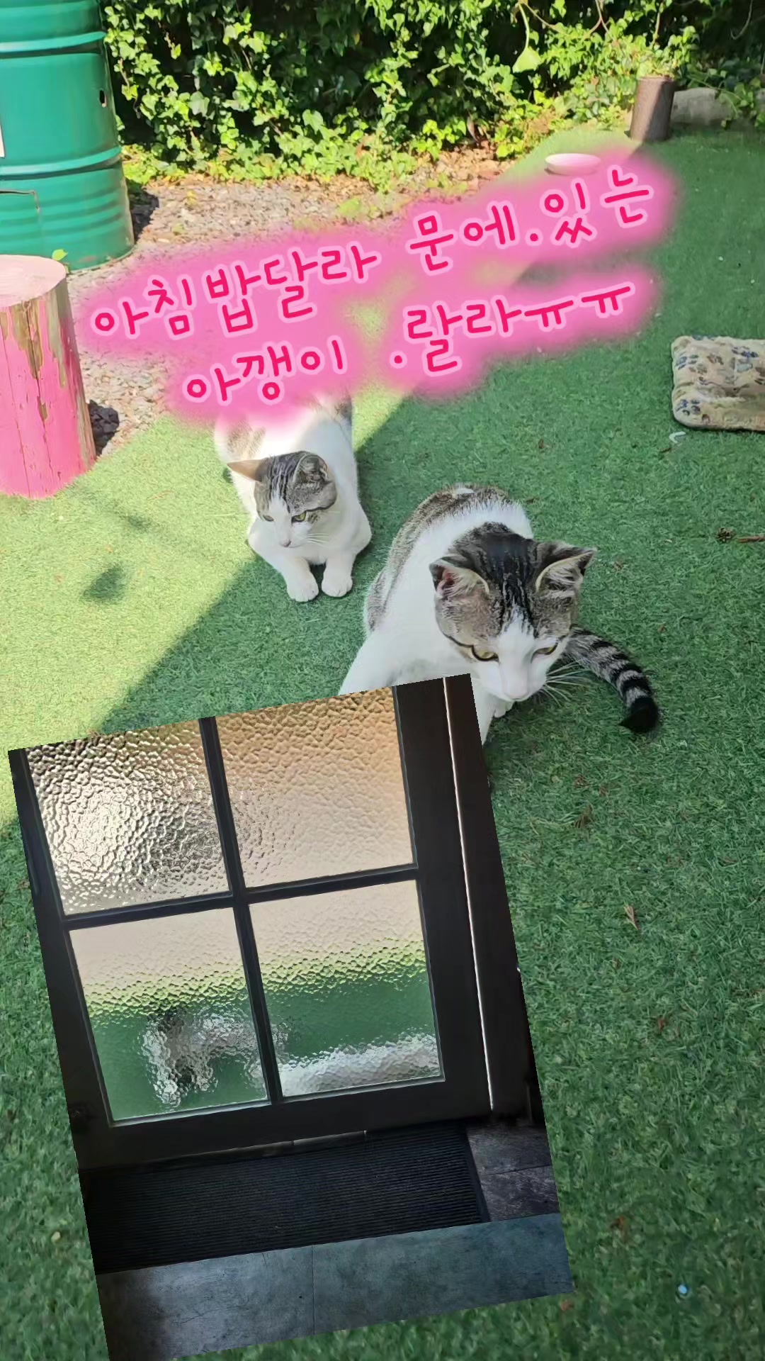 @๐ณํ์ปต๋ง์ผ๐ณ.๐
