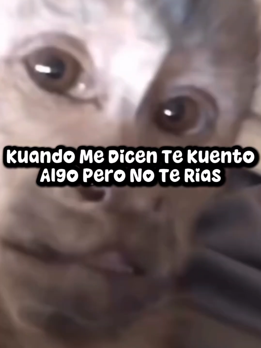 @danyetoker