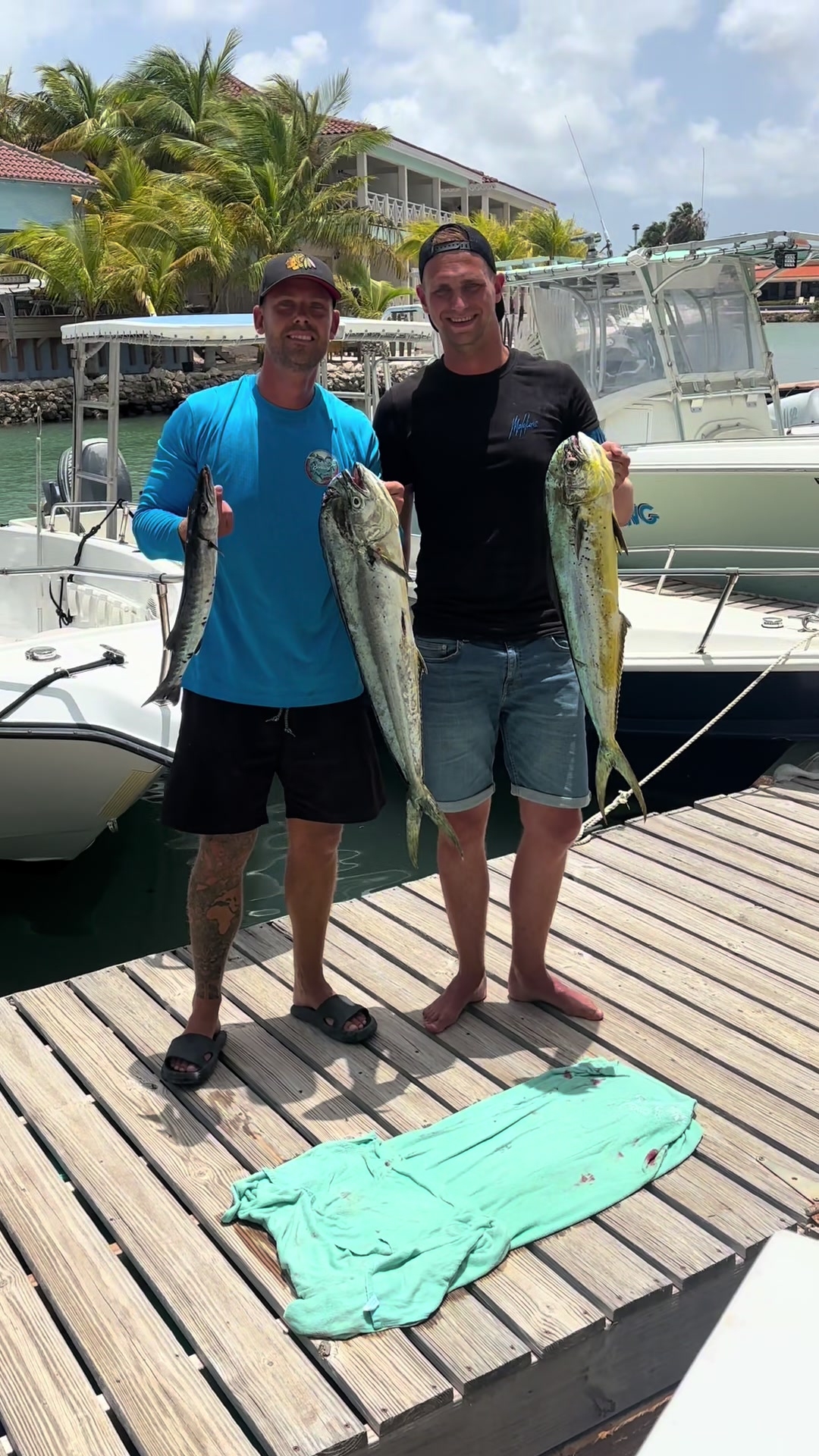 @dolphinsbonaire
