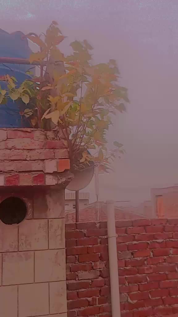 @baba ki pari