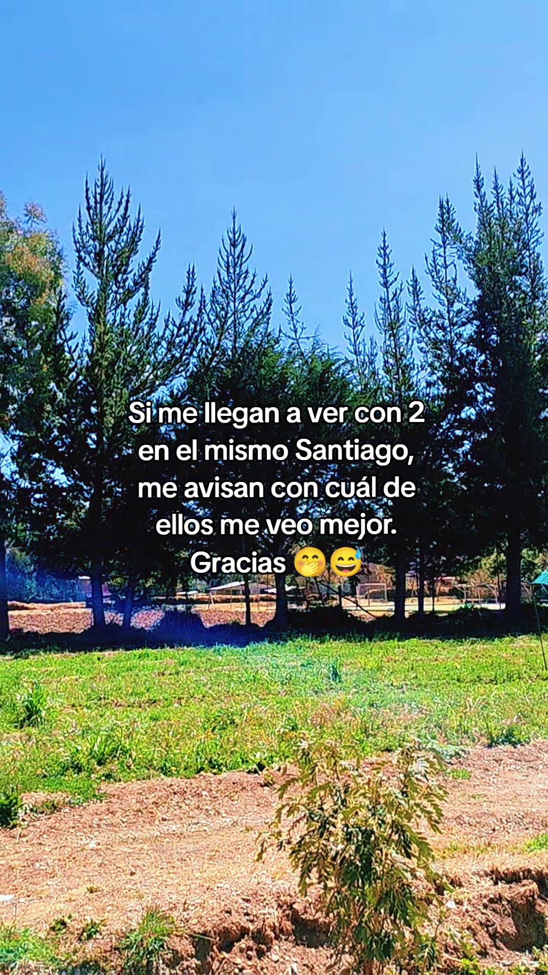@GRACIELA MALDONADO
