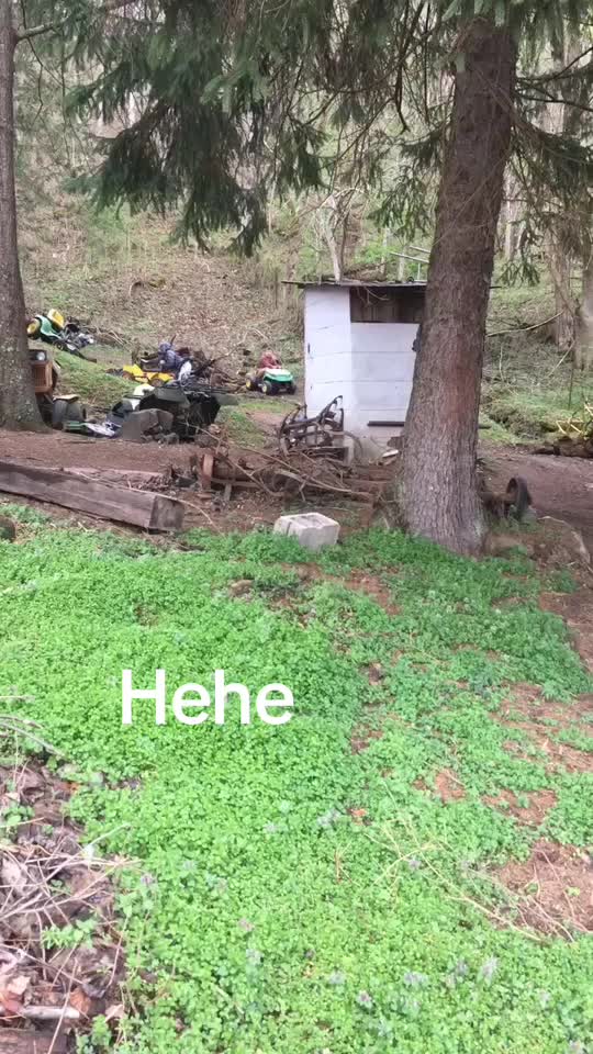 @daltonrobinson121