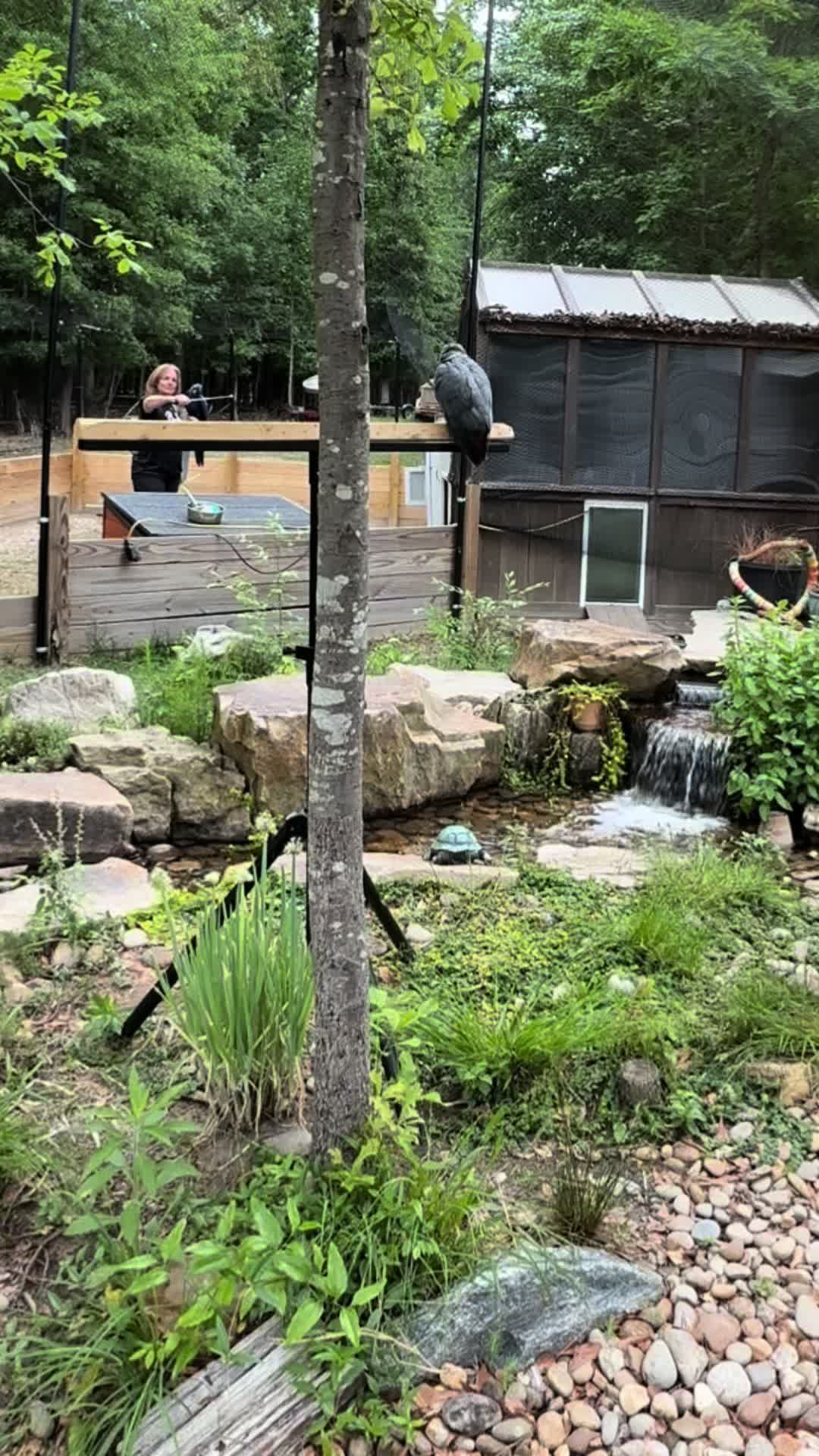 @thehinzoo