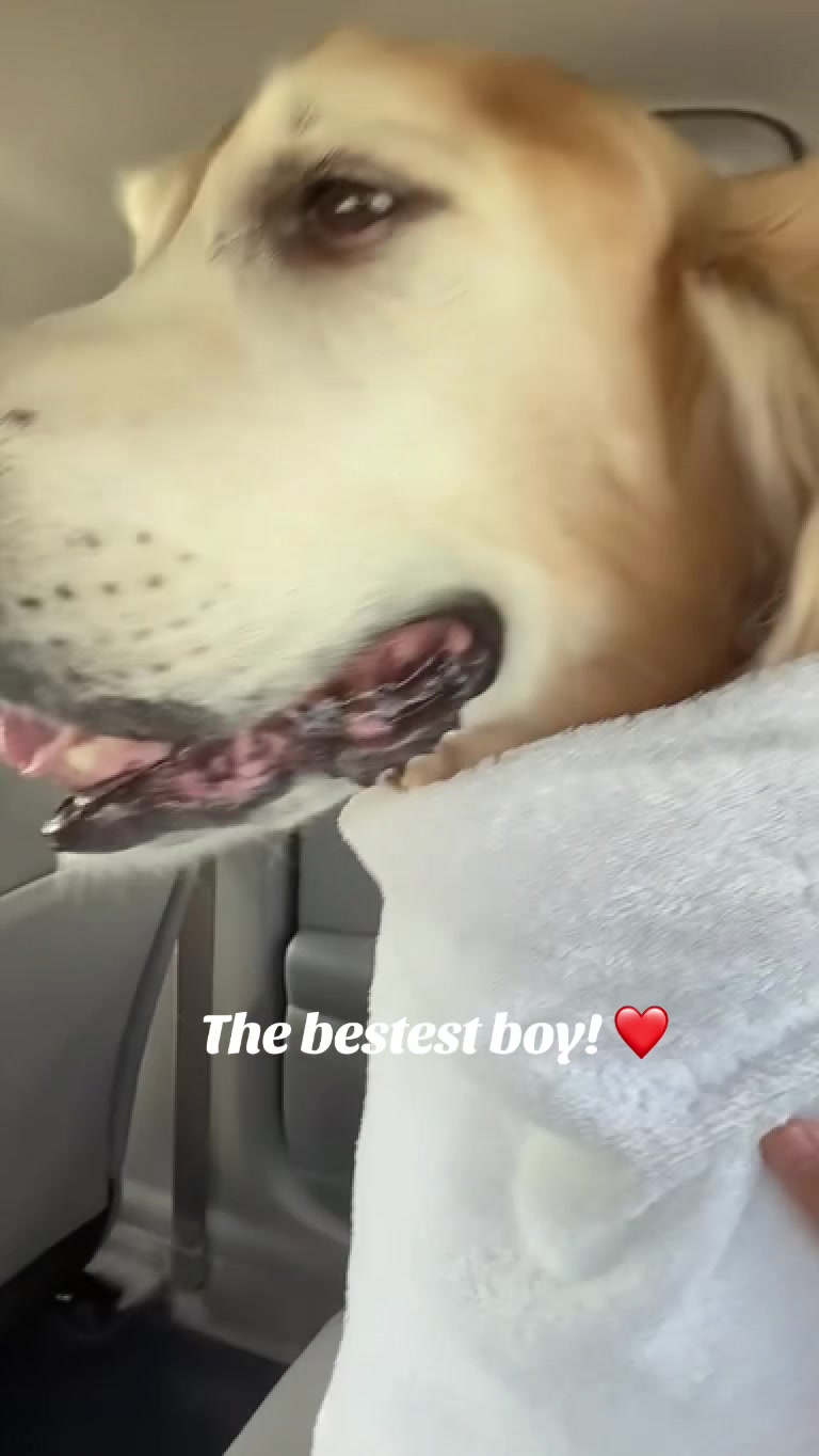 @lifewithduke2025