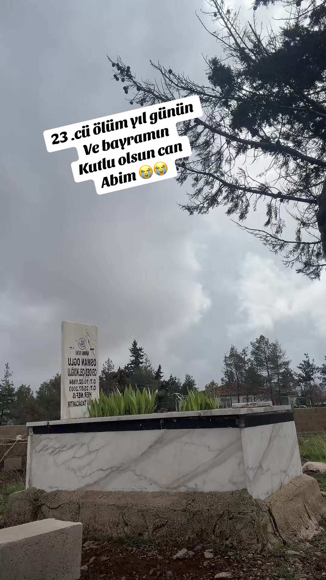@Bayram Çelikoğlu