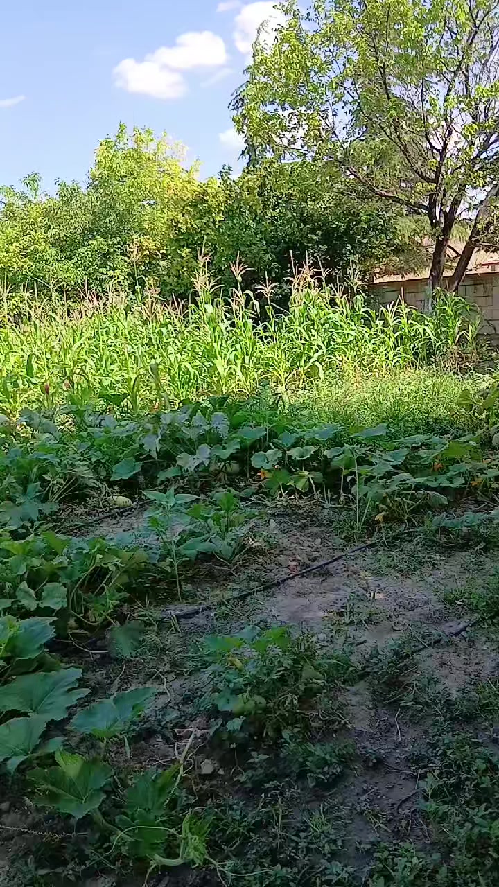 @fidansamet68