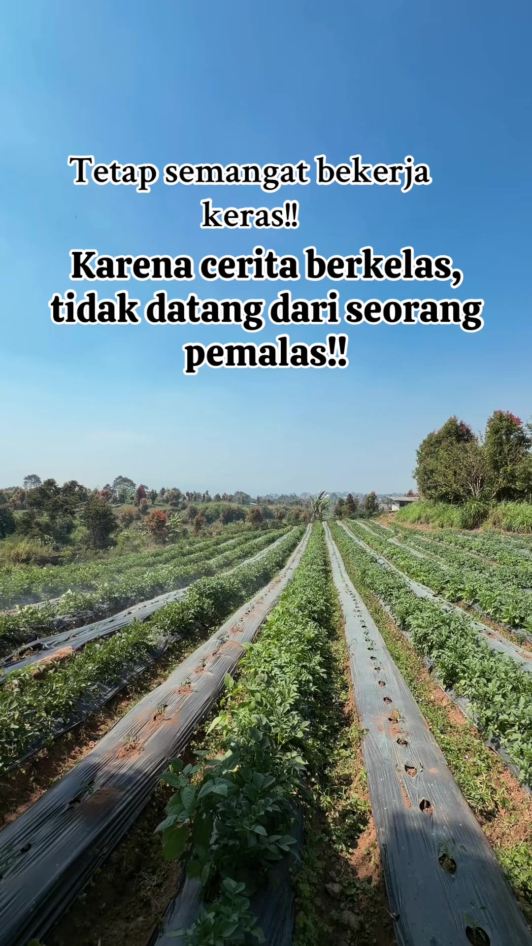@nanda_setiawan_