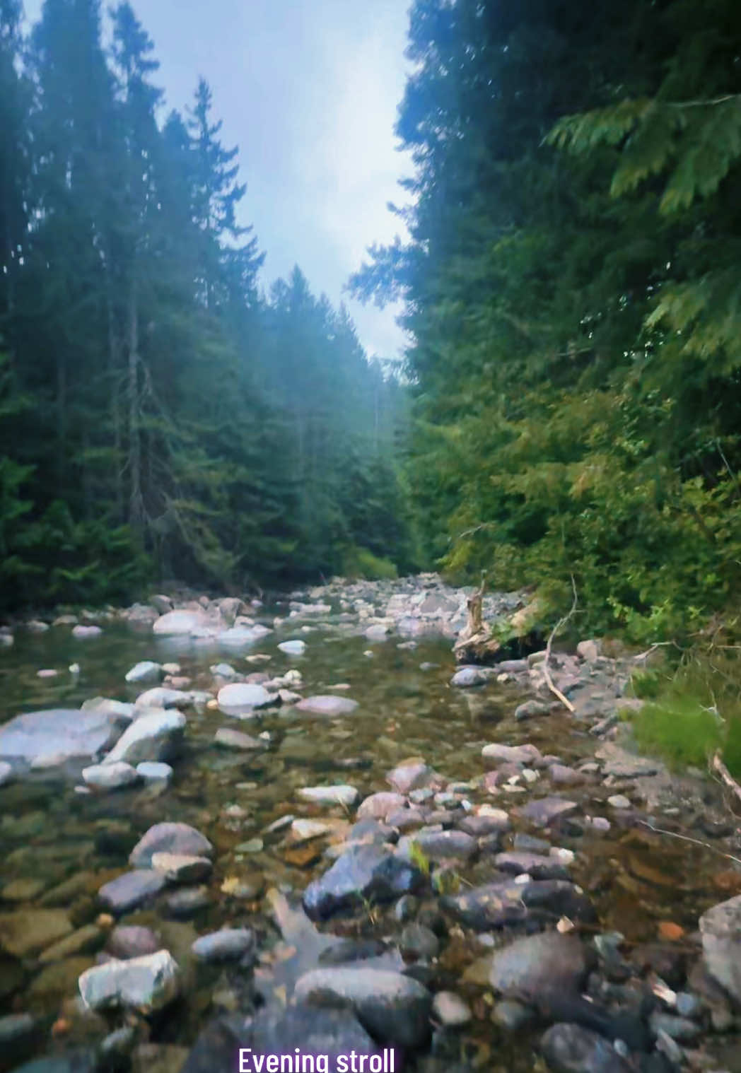 @Nature videos