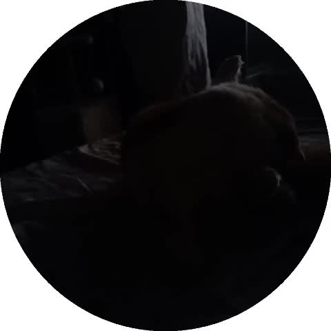 @дименция