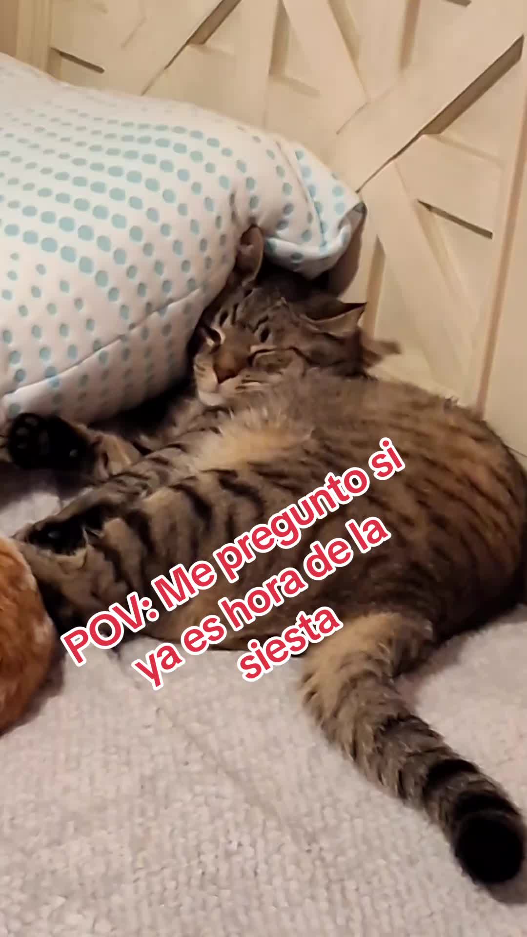 @Mamagatera20