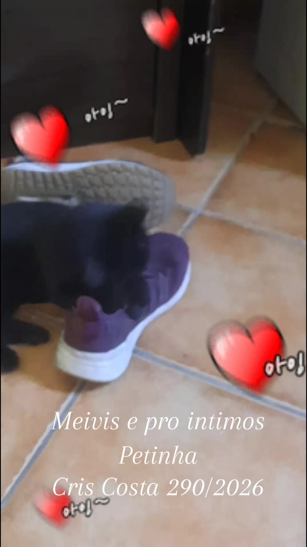 @Cris Costa5707
