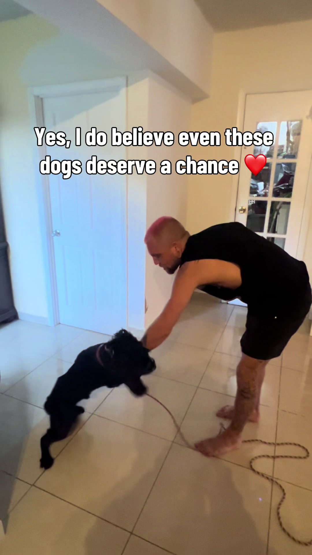 @balancedcanineacademy