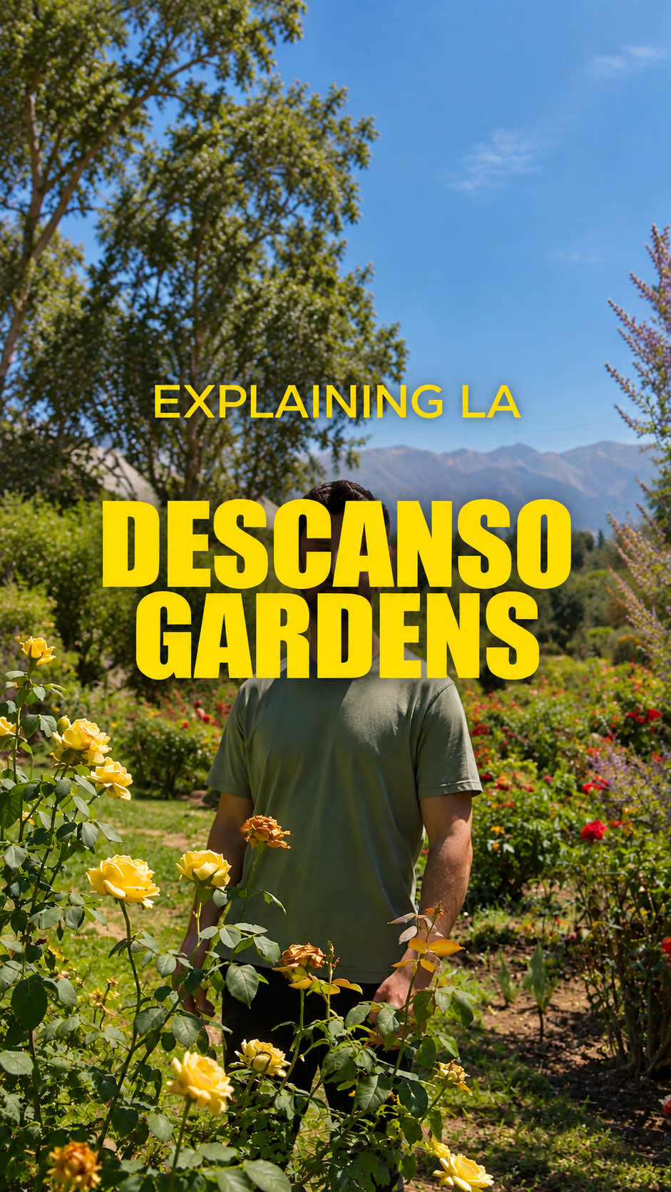 @Michael Minassian | LA Realtor