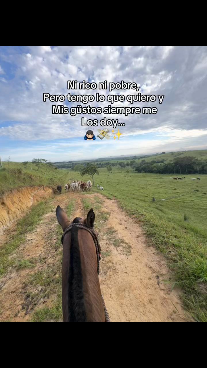@Didier_🤠