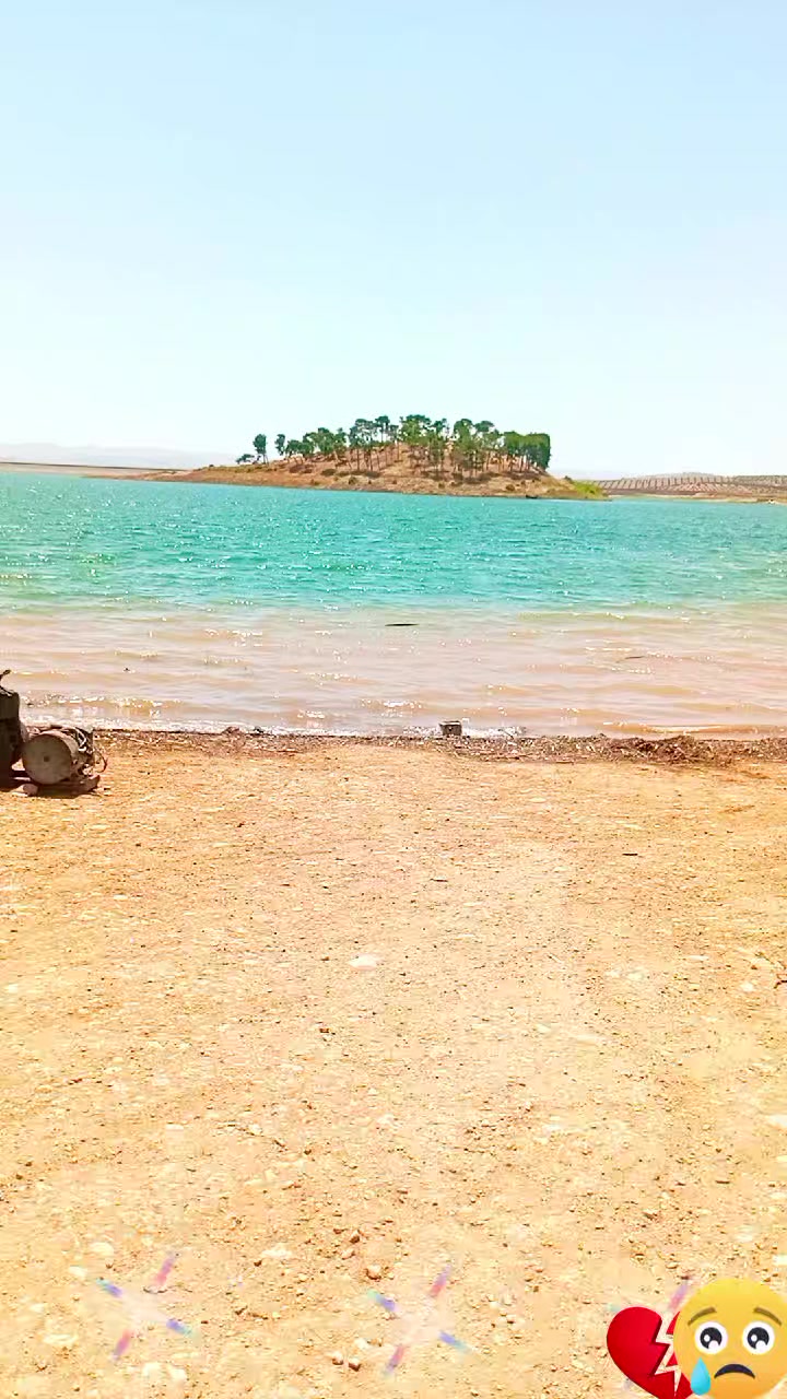 @رونيارا عفريني