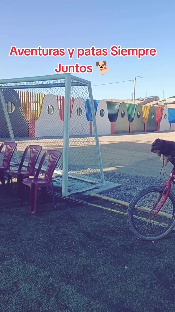 @lilyjuarez2026