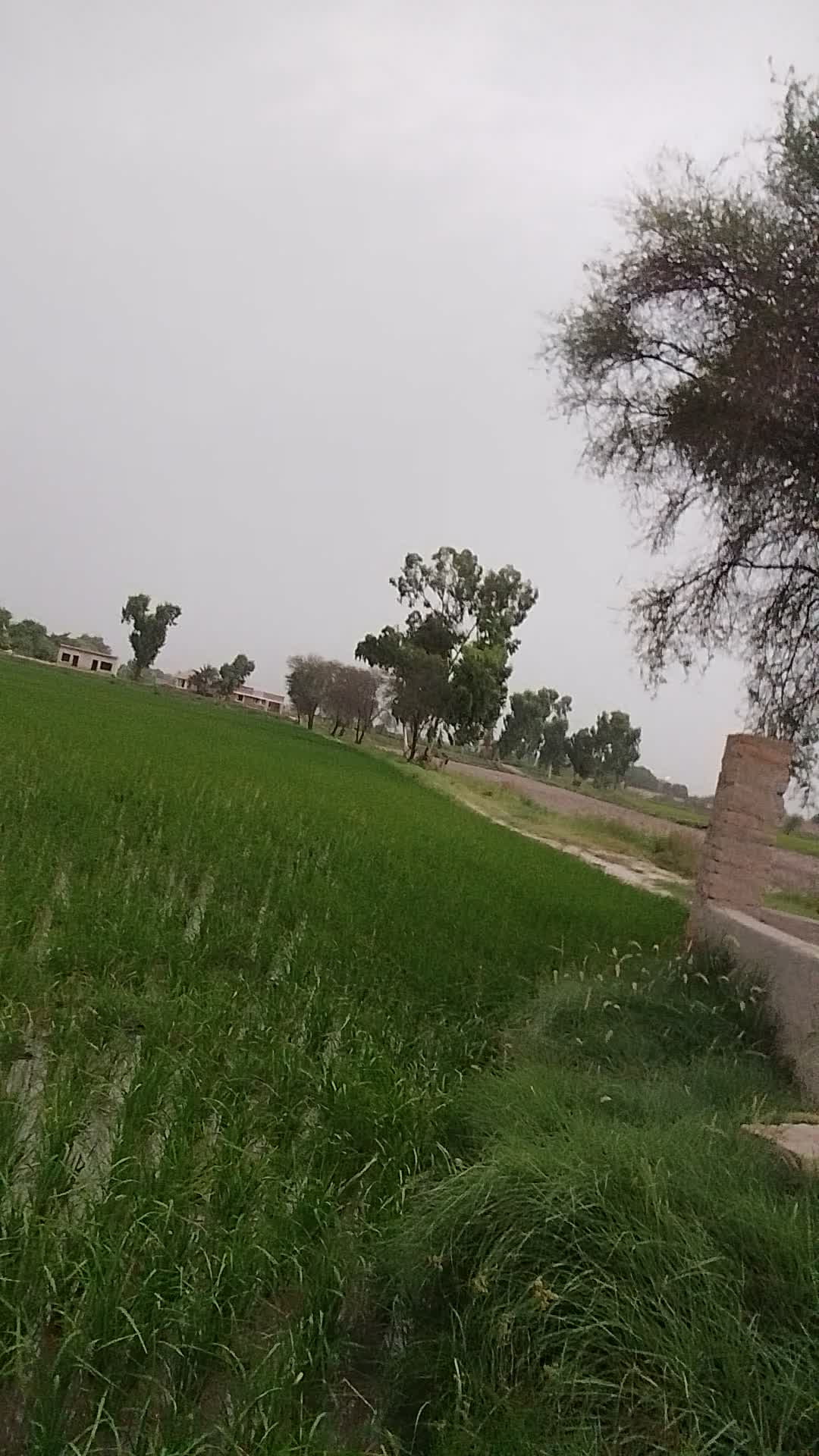 @abdulSATTARsanghar🙏🙏🇵🇰