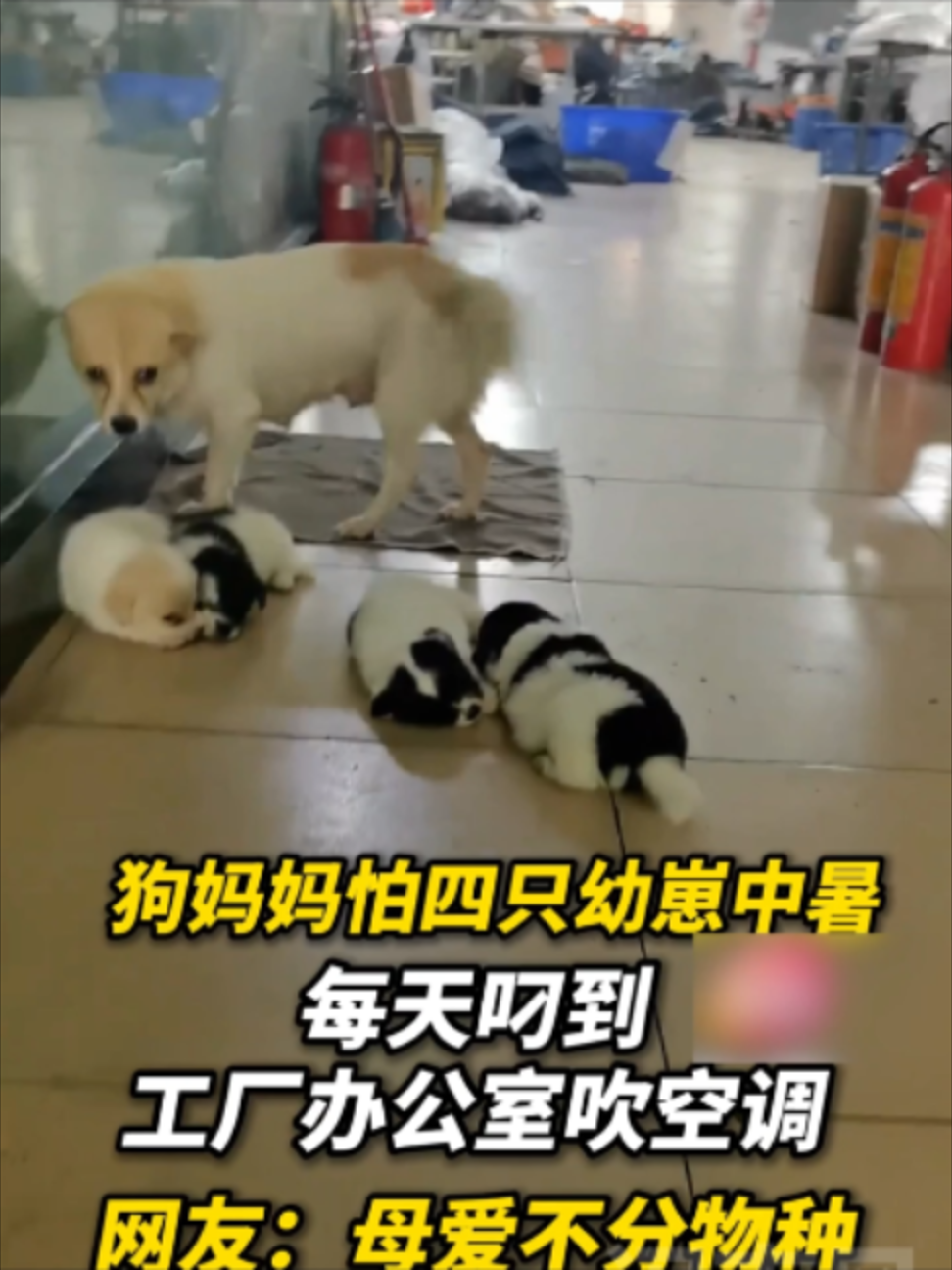 @闽南风~