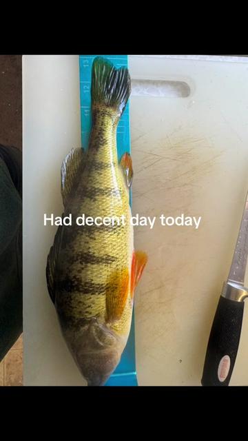 @Gone fishing