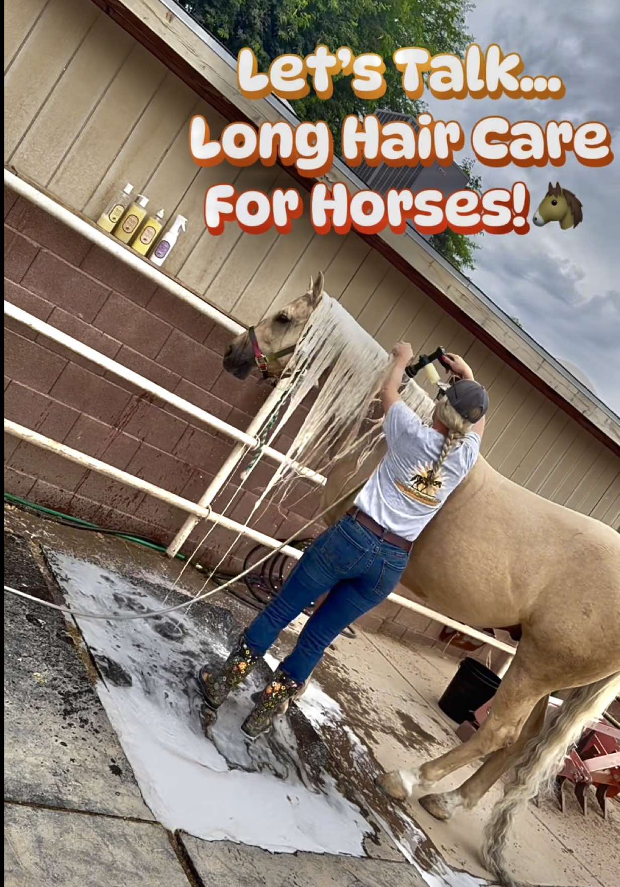 @✨🐴Cowgirl Central Co.