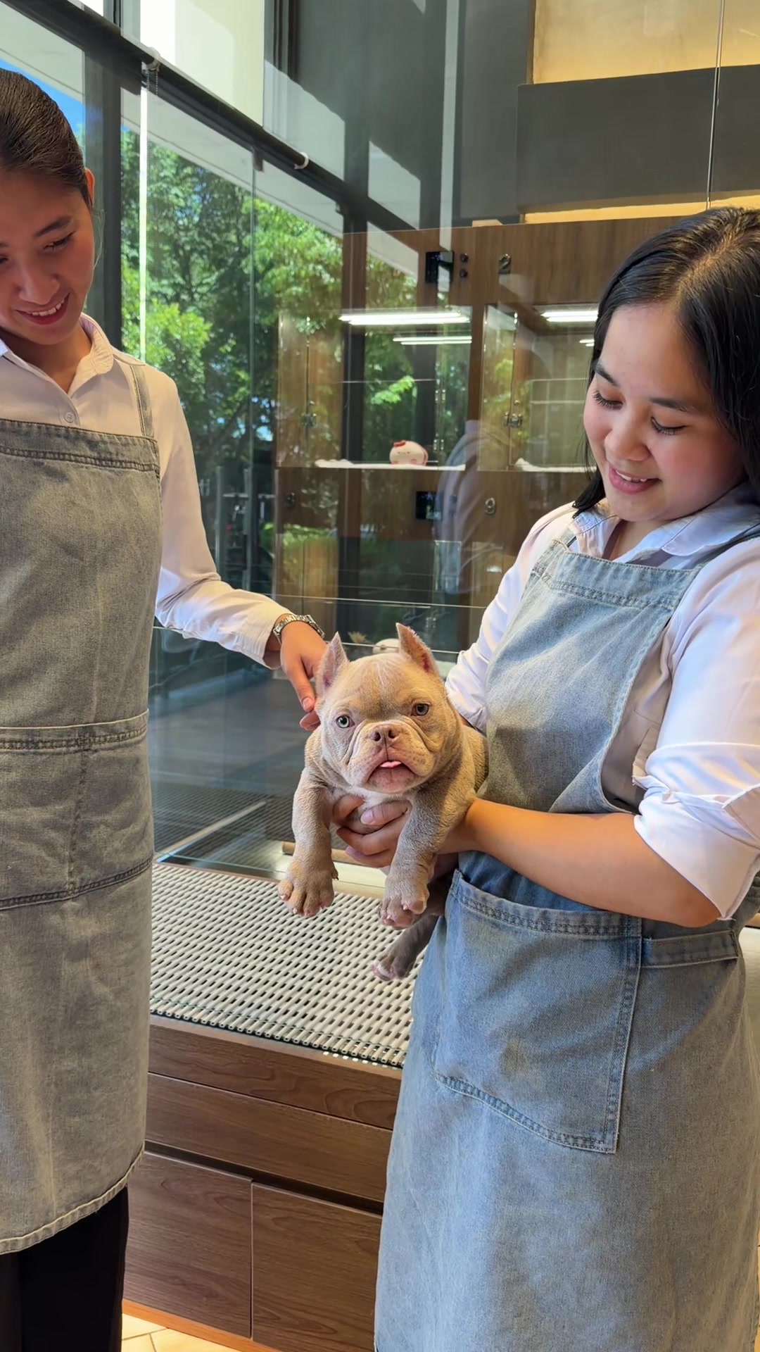 @JC Dog Republic