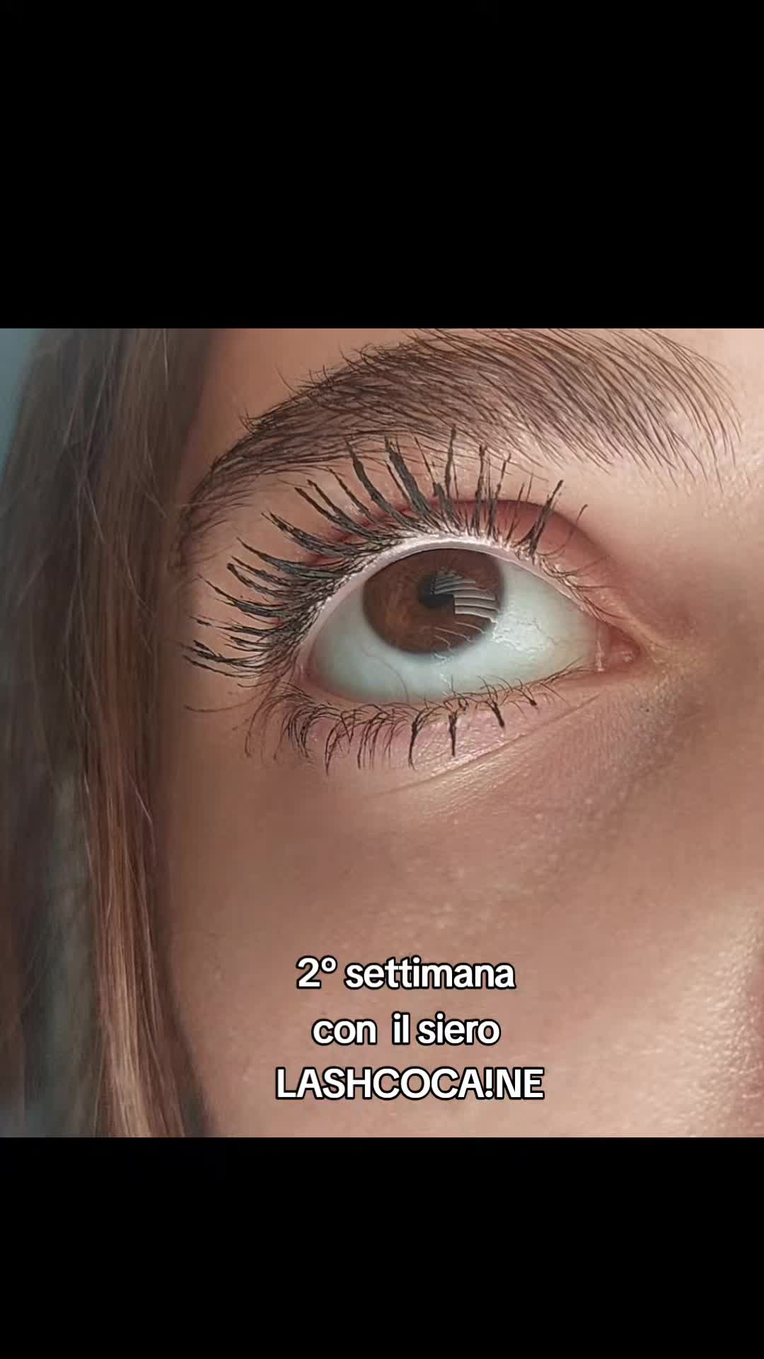 @elisa ͙⋆