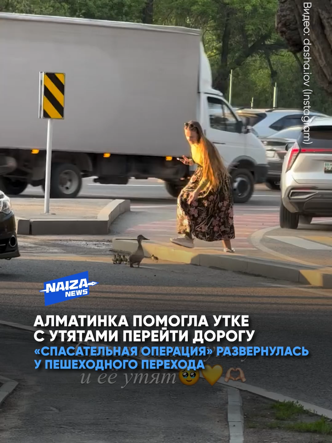 @NAIZA NEWS
