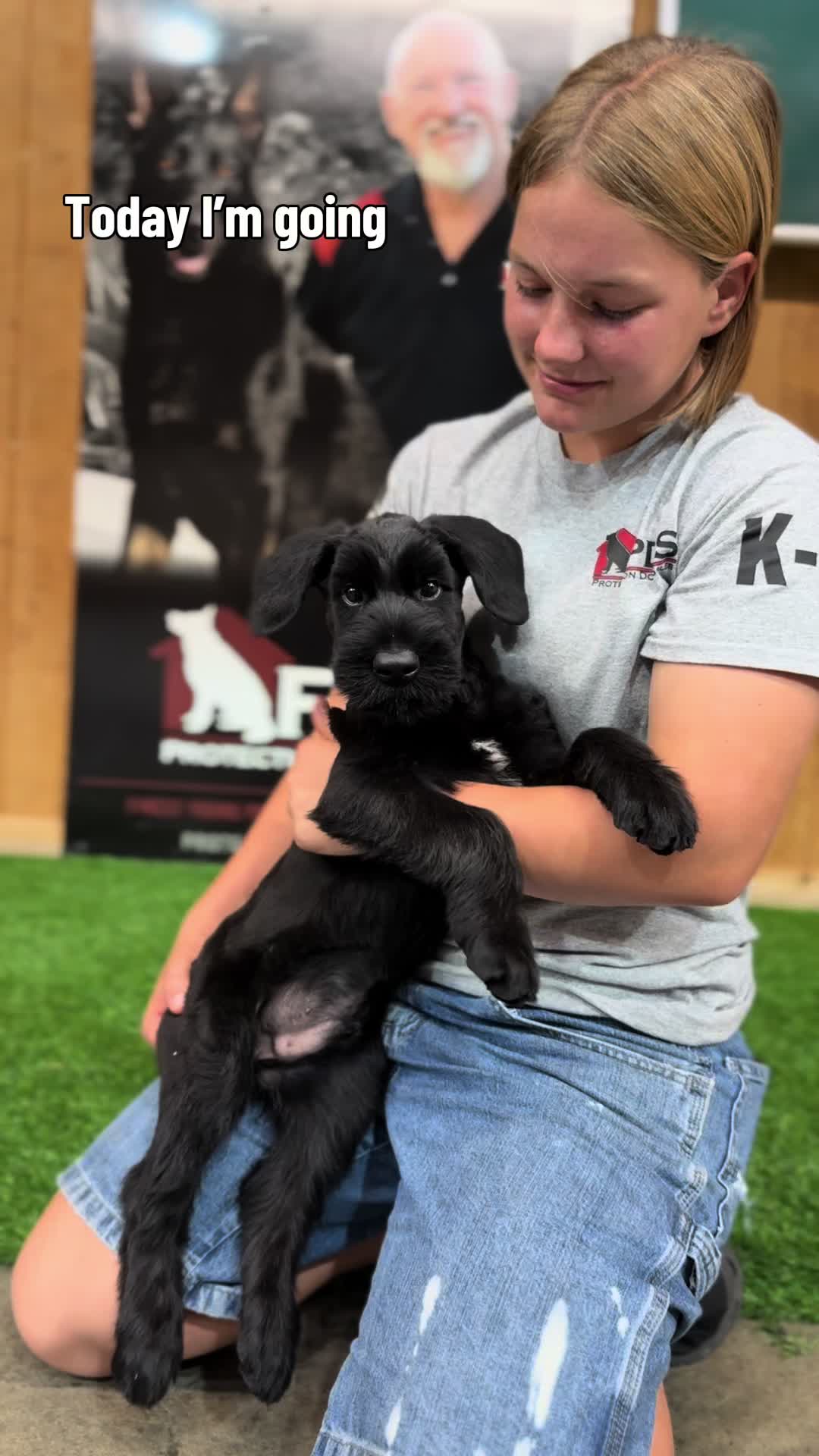 @Protection Dog Sales
