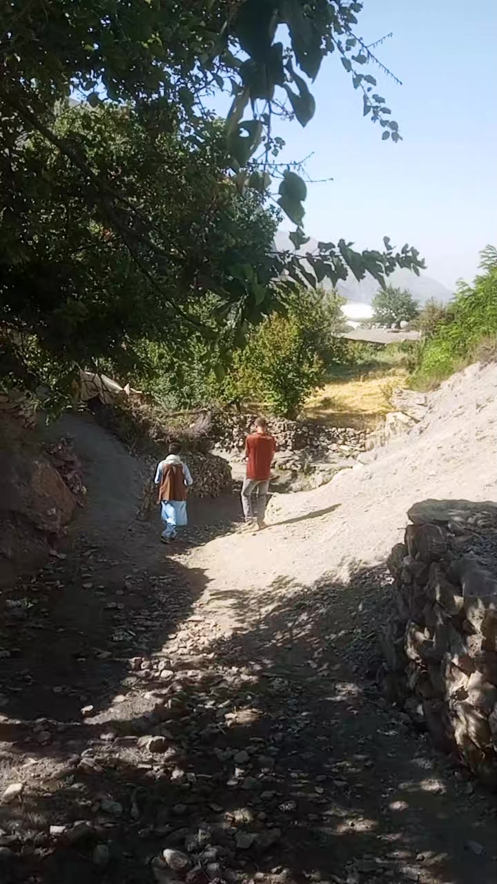 @dimple 68