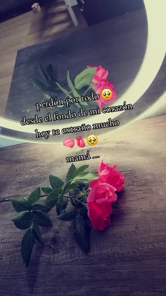 @kleber chuky 🇪🇨 🪗