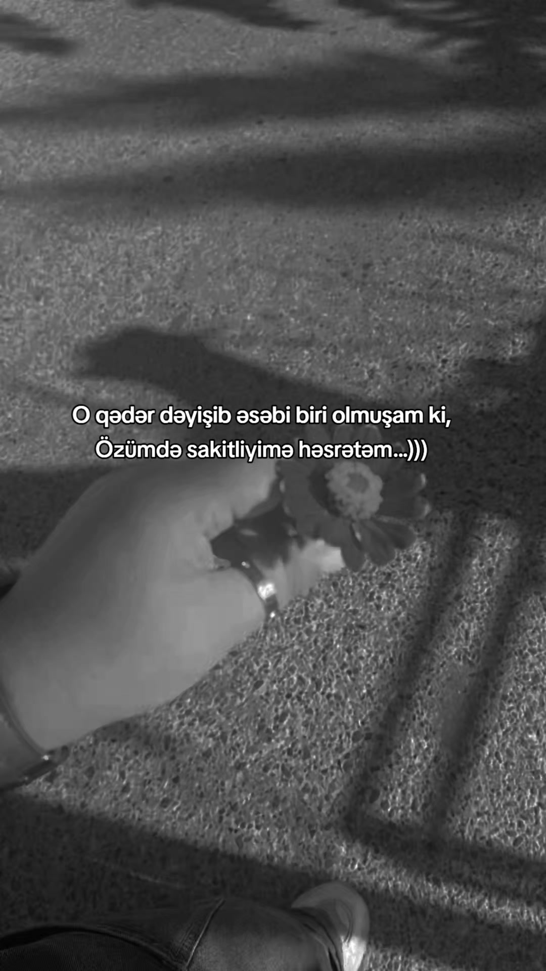 @🌸Narciceyi🌸