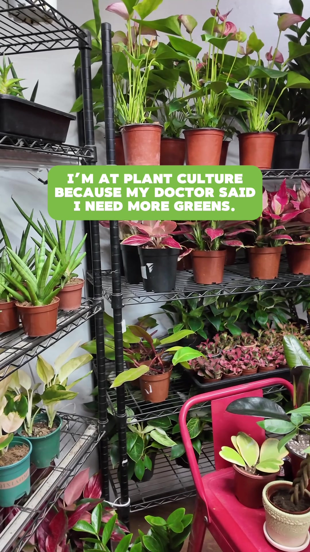 @PlantCulturePH