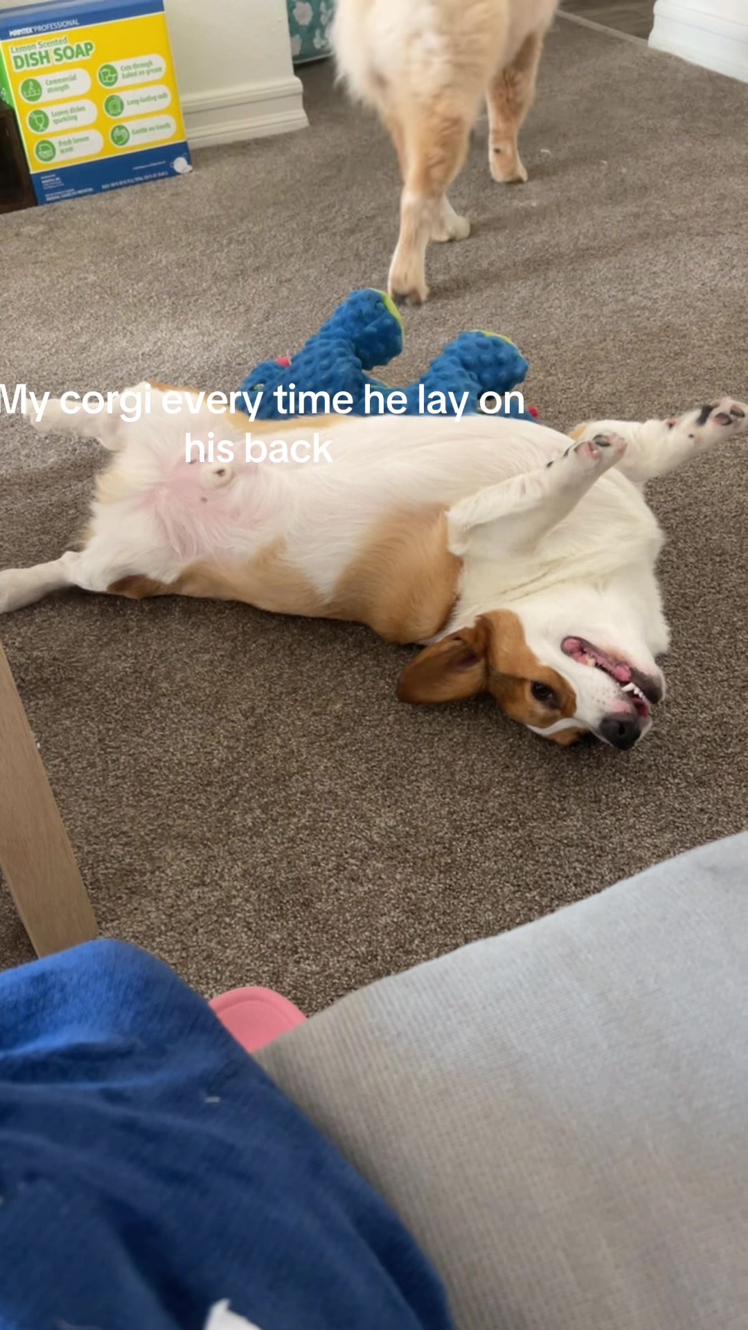 @aerusroommate