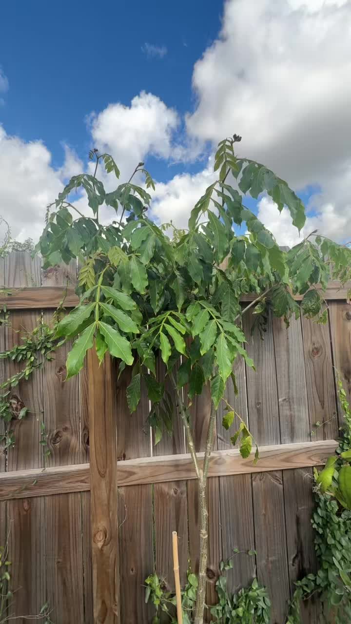 @themagicvalleygardener
