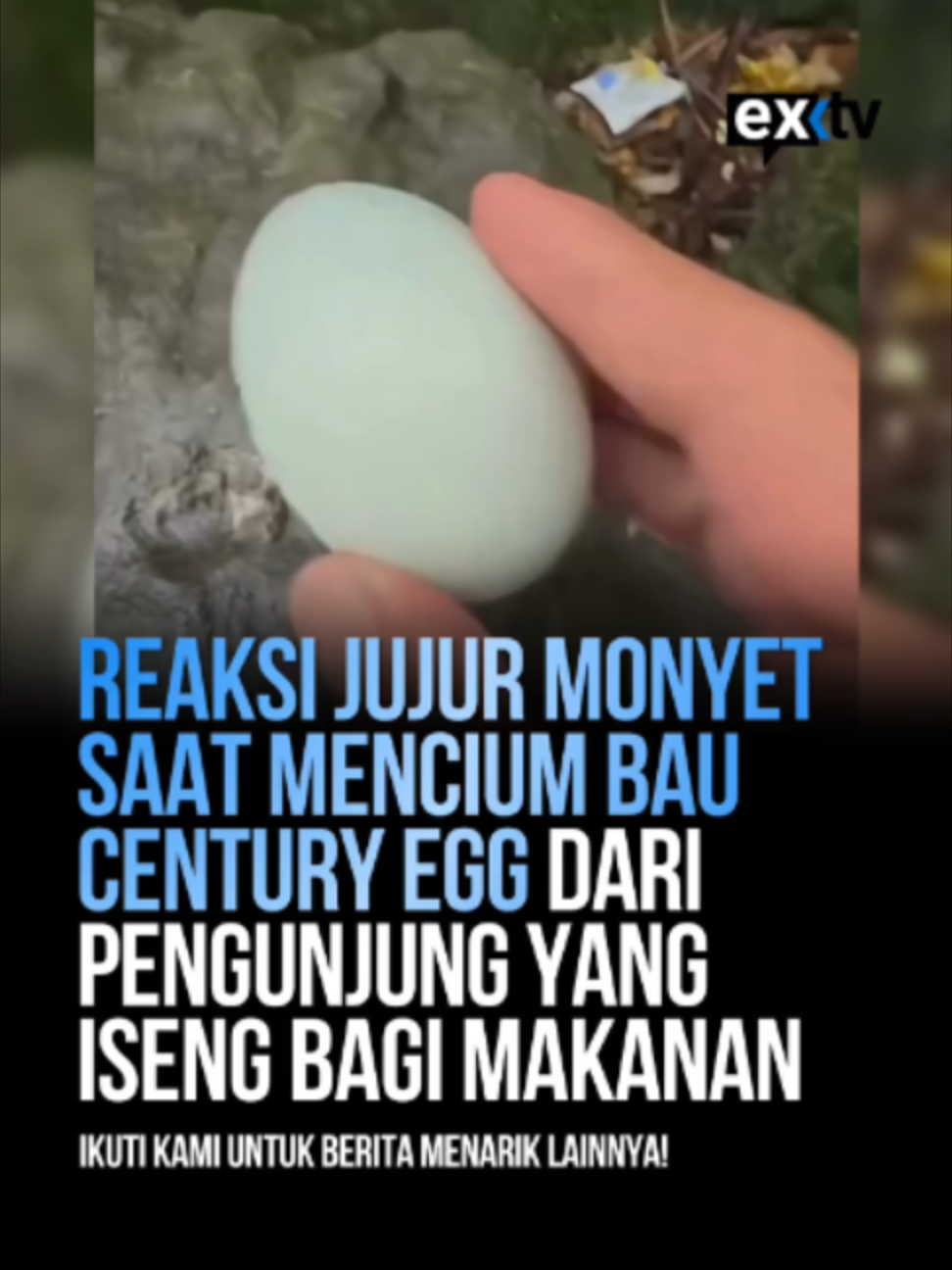 @Expressi Media